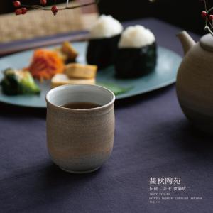 甚秋陶苑 伊藤成二 極平型急須 藻掛け急須 横手 常滑焼 手作り 藻がけ
