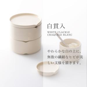 蓮 小皿 プレート LIVING TALK リ...の詳細画像5