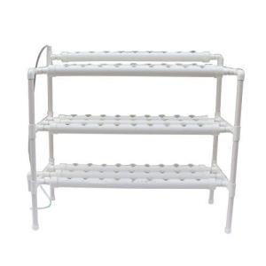 大葉 栽培キットの商品一覧 通販 Yahoo ショッピング