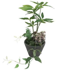 タピオカ 人工観葉 フェイクグリーン の商品一覧 花 ガーデニング 通販 Yahoo ショッピング