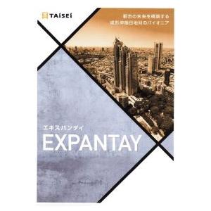 成形伸縮目地　エキスパンタイ　TJ型（黒）　キャップ幅20ミリ　高さ100ミリ　長さ　1.5m　配送...