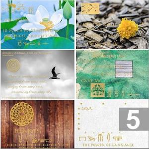 自然の片隅、白花 金箔厚盛両面メッセージカード ヒエログリフ クラフトシール付き 5枚セット GLI...