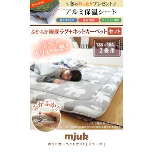 ホットカーペット カバー ふかふか極厚ホットカーペットセットふかふか極厚ラグ-ミュークセット2畳 厚手