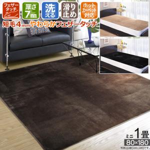 ラグ 2畳 180×180cm マット ホットカーペット対応 洗える 滑り止め