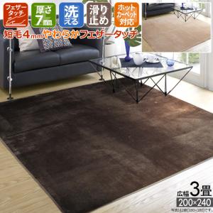 ラグ 広幅 4畳 200×300cm マット ホットカーペット対応 洗える 滑り