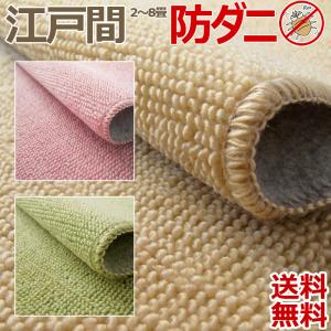カーペット ラグ 国産 6畳 261×352cm オールシーズン ホットカーペット対応 ラグマット 抗菌 防ダニ 無地 六畳 本州四国は送料無料 / ループS 江戸間 /