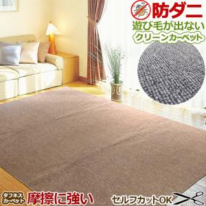 カーペット ラグ 国産 6畳 261×352cm オールシーズン 防ダニ 抗菌