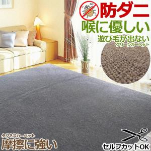 カーペット 4.5畳 オールシーズン 防ダニ 抗菌 ループ 261×261cm 四畳半 ラグマット ホットカーペット対応 国産 無地 クリーン ラグ 本州四国は送料無料｜iconyt