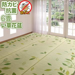 カーテン カーペット アイコン 6畳 い草 その他天然素材 Yahoo ショッピング