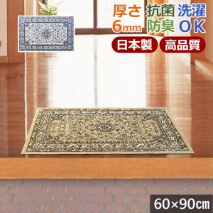玄関マット 67×110cm 屋内 室内 洗える 滑り止め 抗菌 防臭 国産