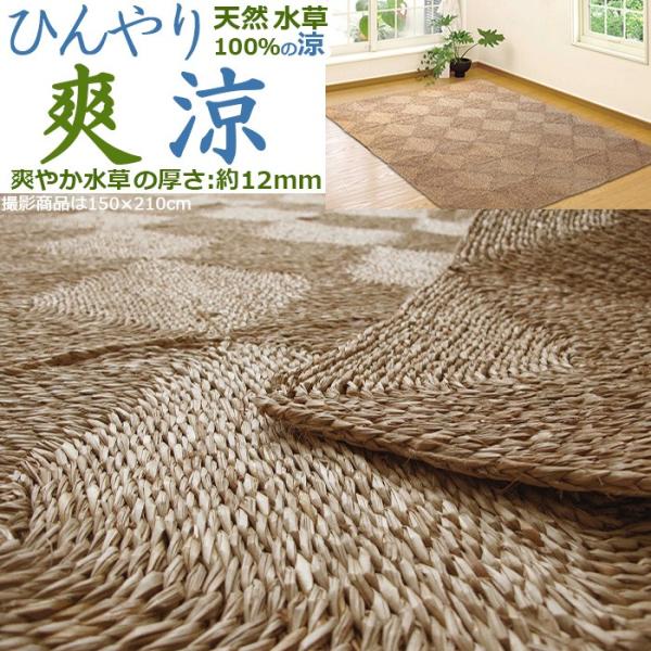 い草 ラグ カーペット 七島ラグ ござ 約3畳 約三畳 180×240cm ひんやり クール 天然素...