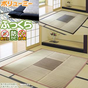 い草 カーペット ござ 国産 ミニ 10畳 300×360cm 上敷き ラグ オーダー