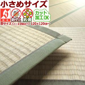 い草 カーペット ござ 国産 ミニ 10畳 300×360cm 上敷き ラグ オーダー