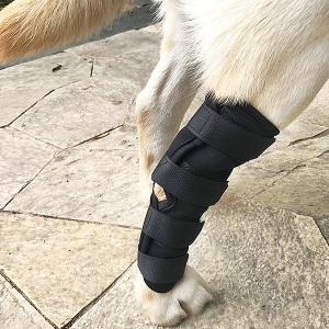 靭帯 犬用サポーターの商品一覧 通販 Yahoo ショッピング