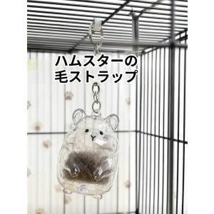 ＼期間限定1点最安850円・2点購入で/ハムス...の詳細画像5