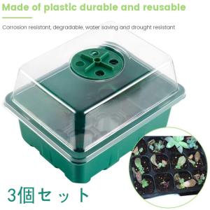 すくすくトレイ 24穴用 20枚入 : 日本農業システム - 通販 - Yahoo