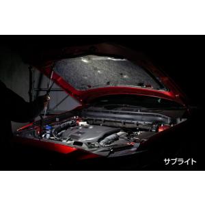 SGWL-01R ワークライト SG by G...の詳細画像3