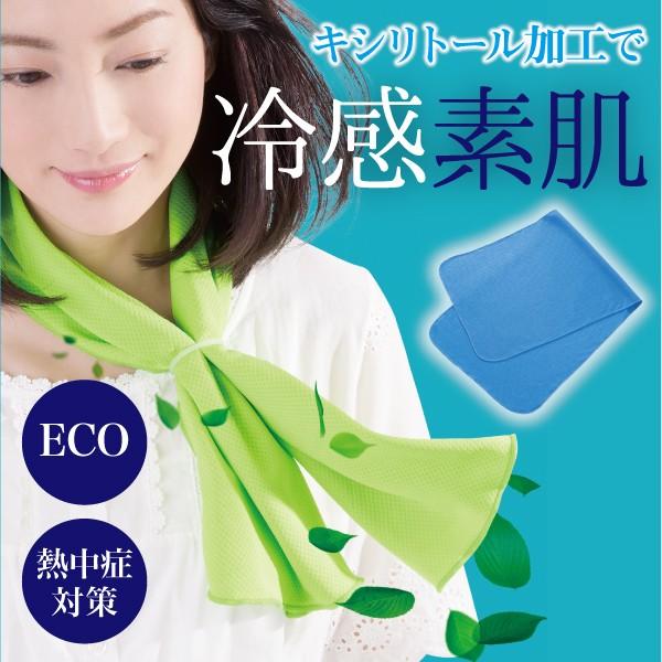 Eco&amp;Cool アイスパッドプレミアム 熱中症対策 冷感 キシリトール加工 薄型タオル ECO 防...