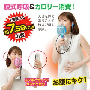 ストレス解消 ボイトレエクサ 遮音 ボイトレ ...の詳細画像2