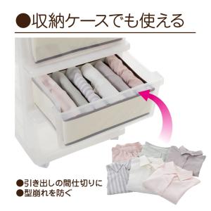 炭消臭 仕切り収納ボックス 6ポケット すき間...の詳細画像3