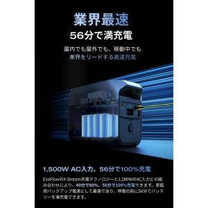 EcoFlow DELTA3 ポータブル電源 ...の詳細画像5