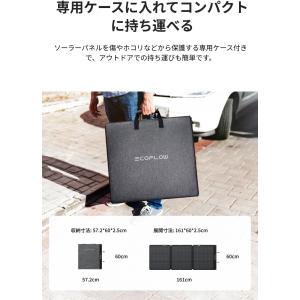 EcoFlow 160W 片面ソーラーパネルG...の詳細画像2