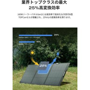 EcoFlow 160W 片面ソーラーパネルG...の詳細画像5