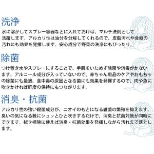 天然成分100%のマルチ洗浄パウダー ほたての...の詳細画像3