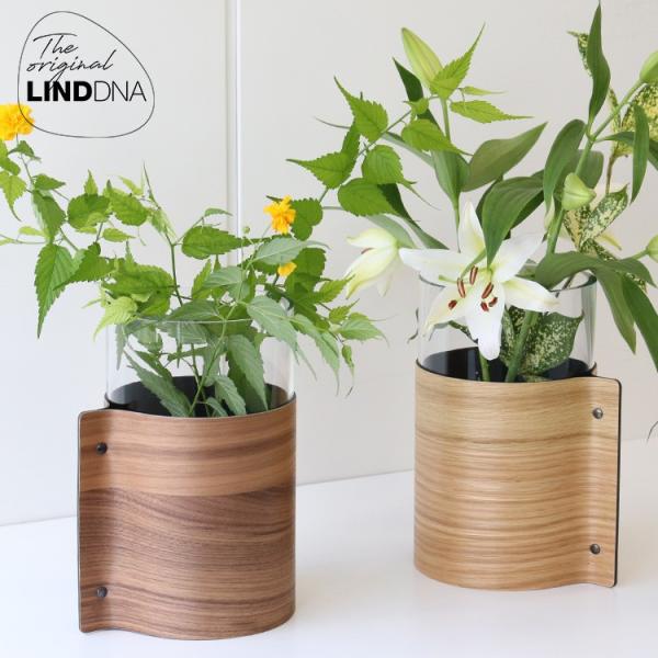 箱だけ難あり LIND DNA ウッドベース H25cm セール 父の日 2026