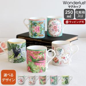 Cuckoo（WEDGWOOD） 並行輸入品 ウェッジウッド Wedgwood カッコー