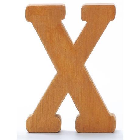 ウッデンアルファベット　X