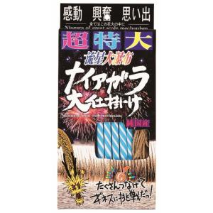超特大ナイアガラ大仕掛 筒井時正玩具花火製造所 ナイアガラ花火 送料