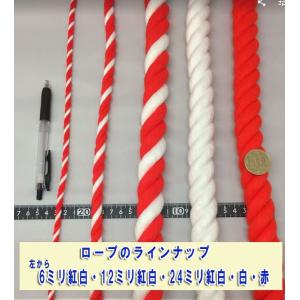 紅白ロープ 紅白紐 太さ6ミリ メートル単位で...の詳細画像4