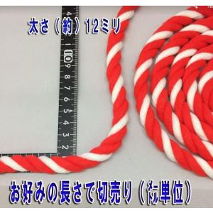 紅白ロープ 紅白紐 太さ12ミリ メートル単位...の詳細画像2