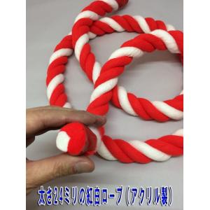 紅白ロープ 紅白紐 太さ24ミリ メートル単位...の詳細画像3