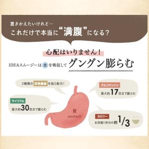 置き換え ダイエット スムージー グリーンスム...の詳細画像2