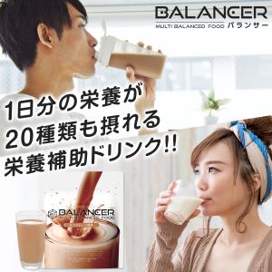 栄養補助食品 バランサー 510g チョコレー...の詳細画像1