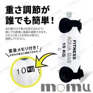 ウォーターバッグ 体幹トレーニング 器具 20...の詳細画像3