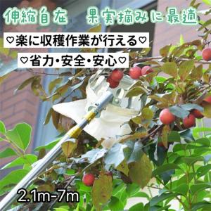 フルーツピッカー 果物取り 高枝切りばさみ 伸縮式 高枝鋏 果物 収穫ツール ピッキングツール 果物キャッチャー 軽量 ベリーピッカー 果樹用フルーツピッカー｜ideatechnology-store
