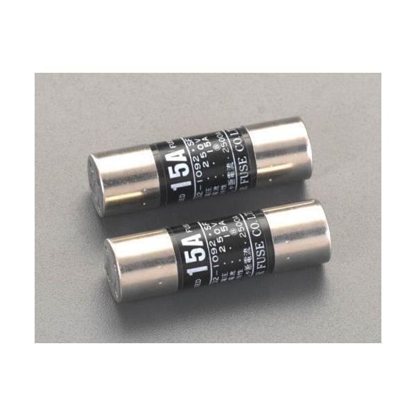 エスコ EA758ZV-8 30.0A×250V筒型エンクロヒューズ2本 EA758ZV8【キャンセ...