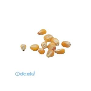 アーテック ArTec 002738 野菜の種　とうもろこし 4521718027388 ATC-2738