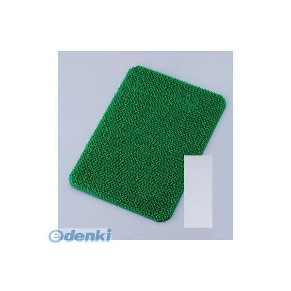 API0802 パイレス専用 肉芝Ｂ型 大用 透明 4905001357183 パイレス専用肉芝B型...