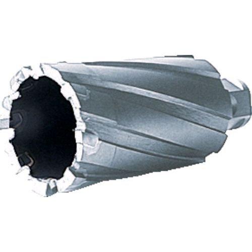 あすつく対応 「直送」 育良精機 CRSQ175 ５０ＳＱクリンキーカッター １７．５ｍｍ 大見 大...