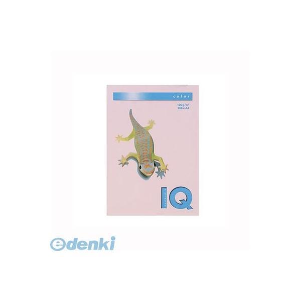 伊東屋  BT731 フラミンゴ バイオトップカラーＡ４（２５０枚入） BT731フラミンゴ