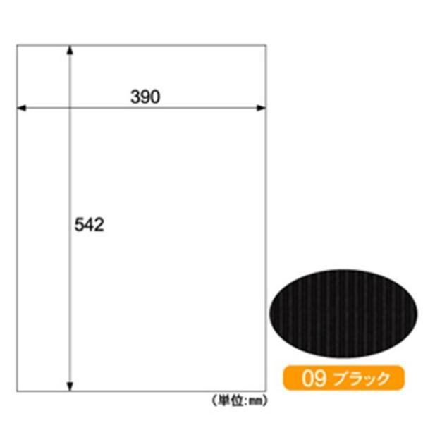 ヒサゴ  RB09 リップルボード ブラック ヒサゴフォーム B3+ HISAGO