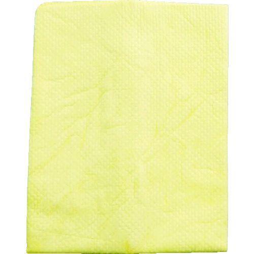 あすつく対応 「直送」 アイオン  R307TK プラスセーヌ ボディ＆ガラス レギュラー2枚セット...