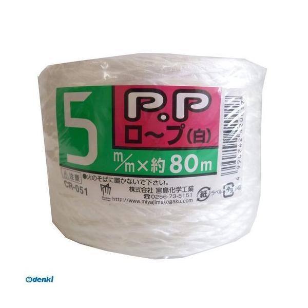 宮島化学工業  CR051 PPロープ 白 幅5mm×長さ80m