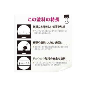 直送 代引不可・他メーカー同梱不可 カンペハピ...の詳細画像4