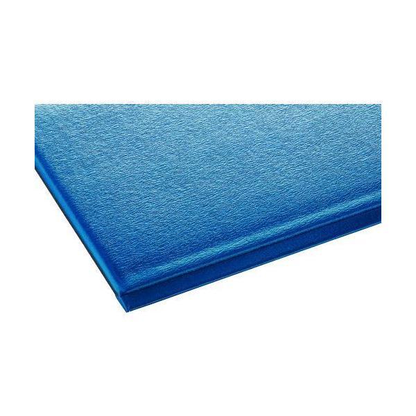 テラモト MR-069-020-3 テラクッション極厚 ブルー ４５０×６００ｍｍ MR069020...