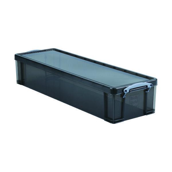 ＲＵＰ 22TSMK 収納ケース　２２Ｌ　スモーク